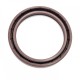 Pressure Oil Seal 55x70x8/8,5 N1T01 FPM [BABSL]